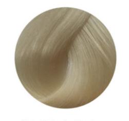 PHILIP MARTIN`S Краска для волос TRUE COLOR 10.2 Biondo Ultrachiaro Irisee