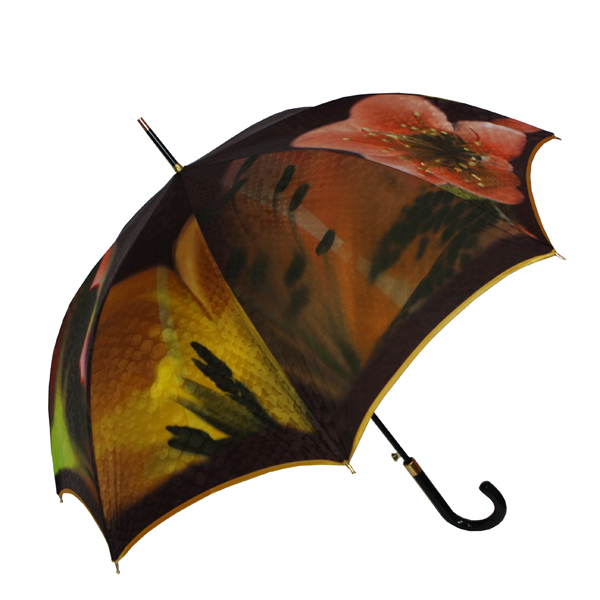 Зонт Guy de Jean BAHAMAS №2