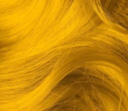 PHILIP MARTIN`S Color Split Корректор - краска для волос Correttore Oro Gold