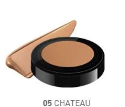 CAILYN Built in Brush Super HD Pro Coverage Foundation Тональная основа HD покрытие 05 Chateau