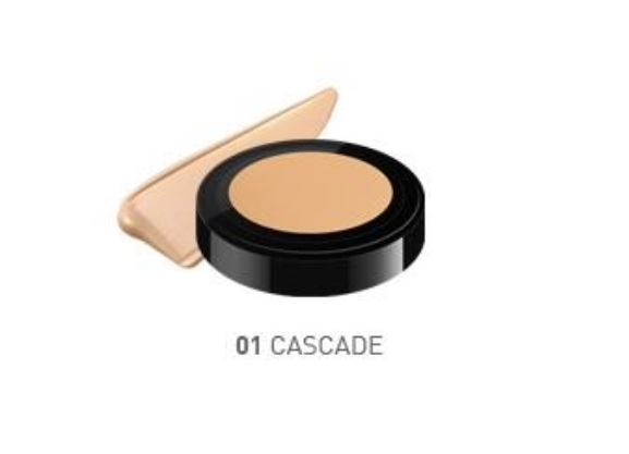 CAILYN Built in Brush Super HD Pro Coverage Foundation Тональная основа HD покрытие 01 Cascade
